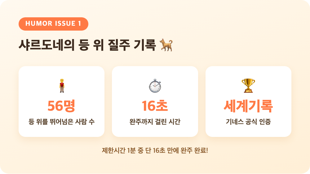 강아지 샤르도네가 56명의 등 위를 16초 만에 완주해 기네스 세계기록을 세운 순간을 정리한 핵심 포인트 카드