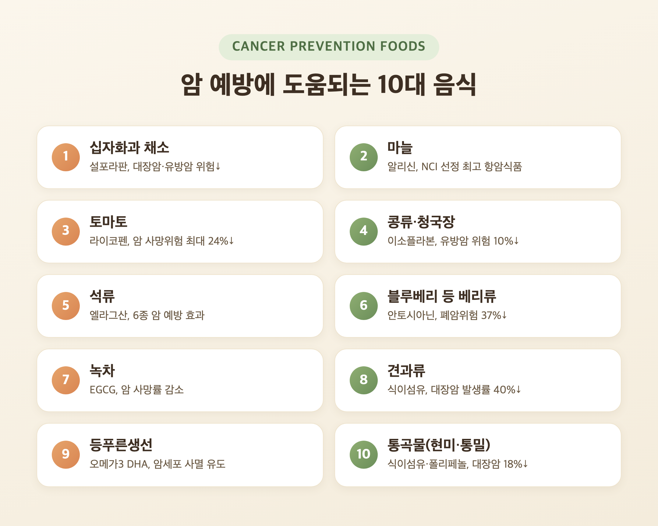 암 예방에 도움되는 10대 음식을 한눈에 정리한 인포그래픽