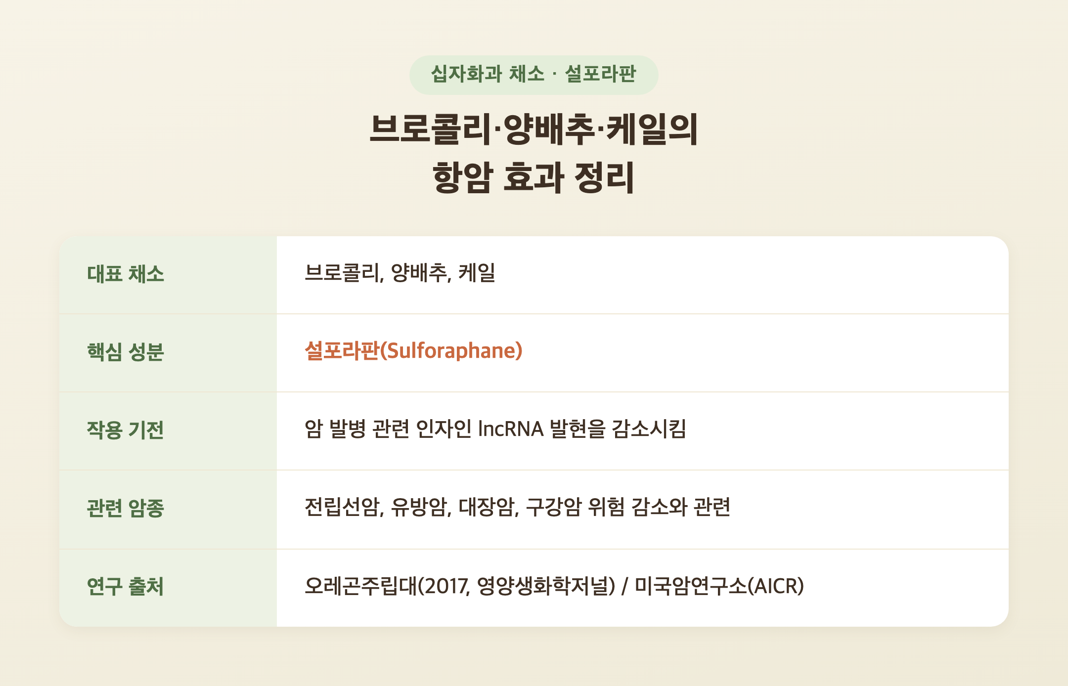브로콜리 등 십자화과 채소의 설포라판 성분과 항암 효과를 정리한 표