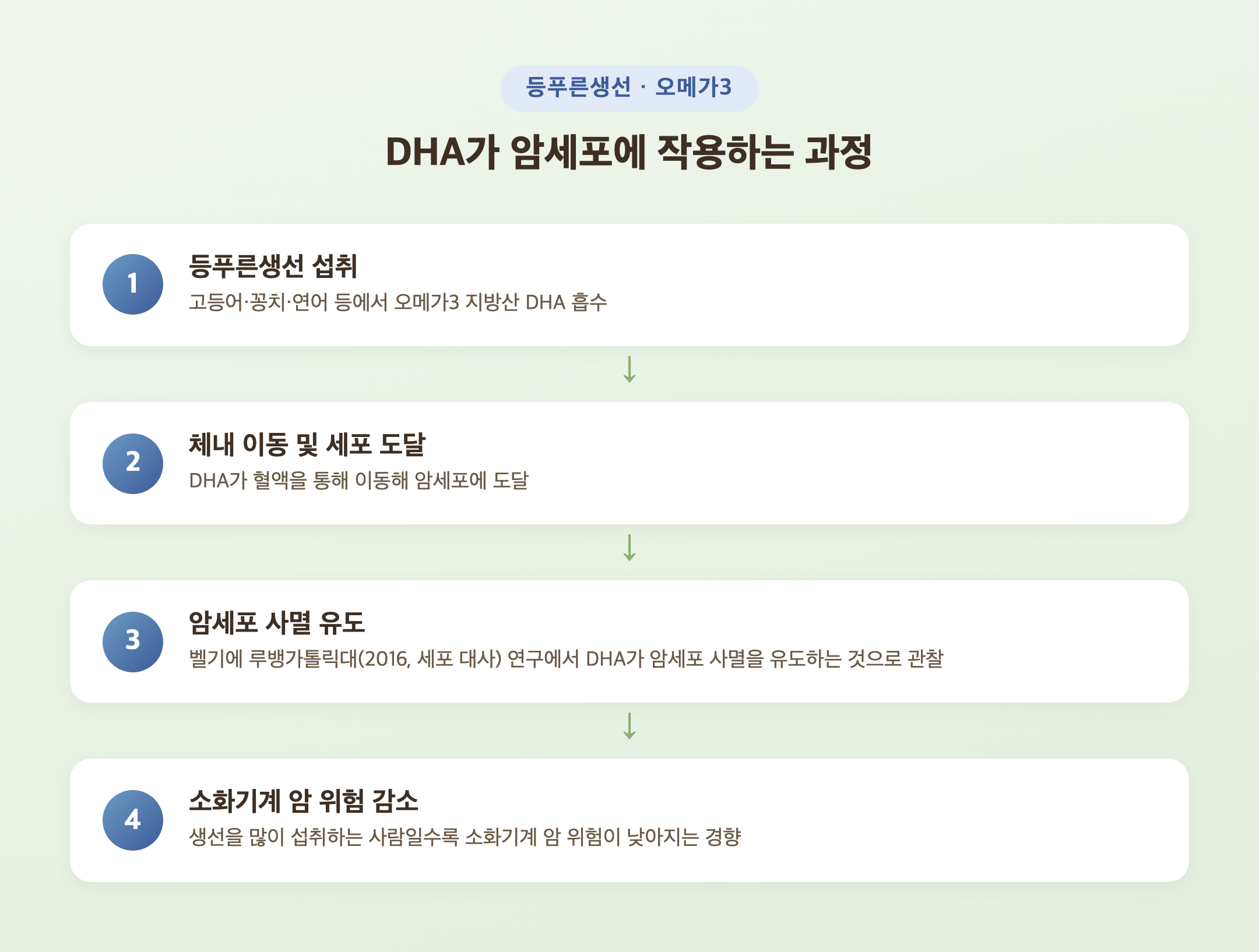 등푸른생선의 오메가3 지방산이 암세포에 작용하는 과정을 나타낸 도식