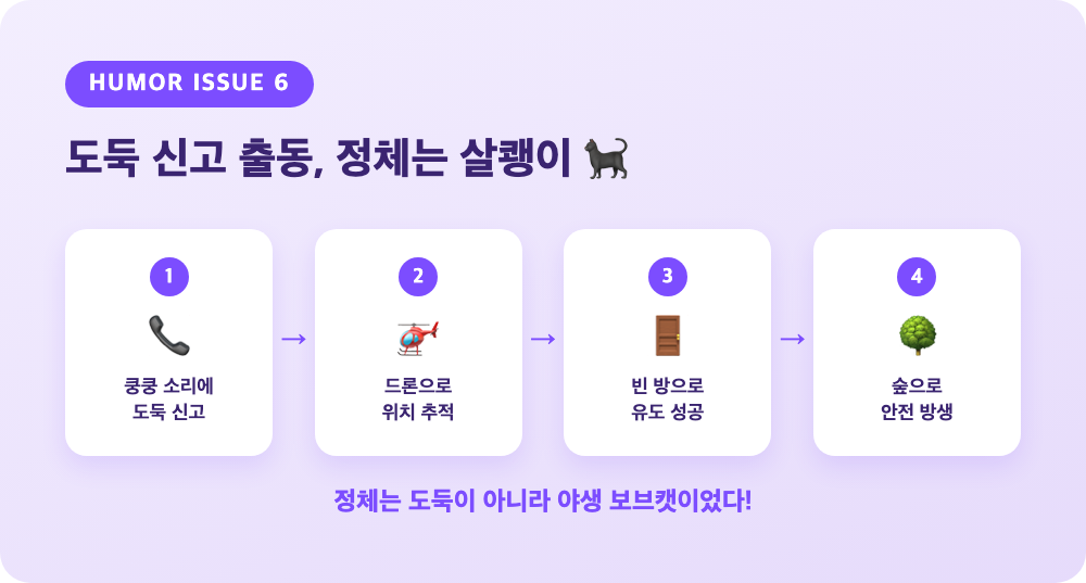 도둑 신고부터 보브캣 방생까지의 처리 과정을 정리한 4단계 다이어그램
