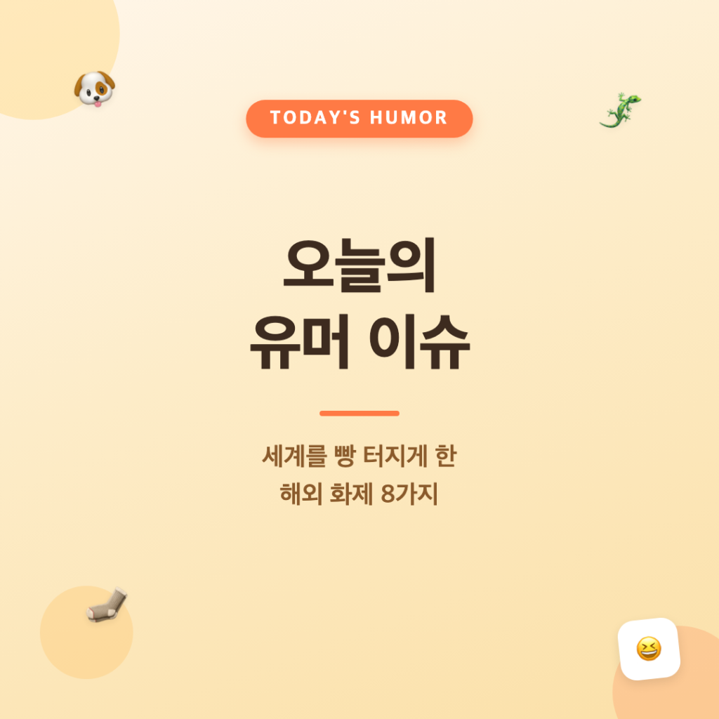 오늘의 유머 이슈: 세계를 빵 터지게 한 해외 화제 8가지